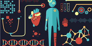 Biomedical Engineering Exit Exam Practice Exam